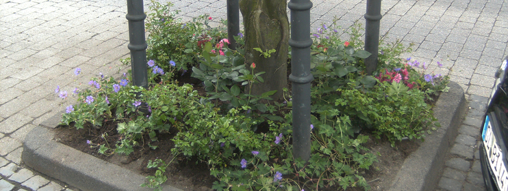 Blumenpatenschaft in der Hauptstraße - neu bepflanztes Beet